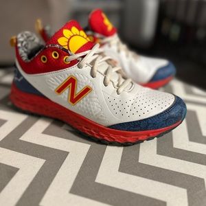 Limited Edition David Sunflower Seeds New Balance turf shoes